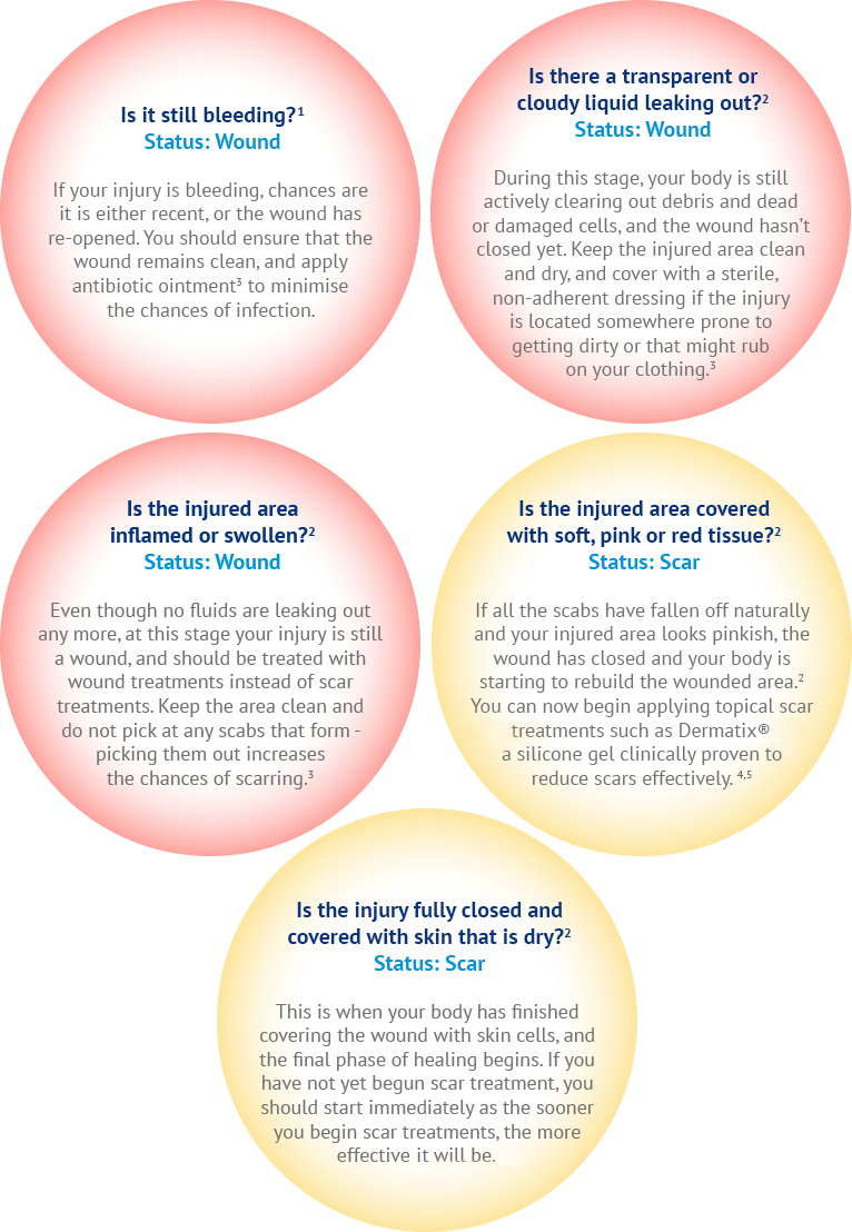 don't mistreat your wounds or your scar