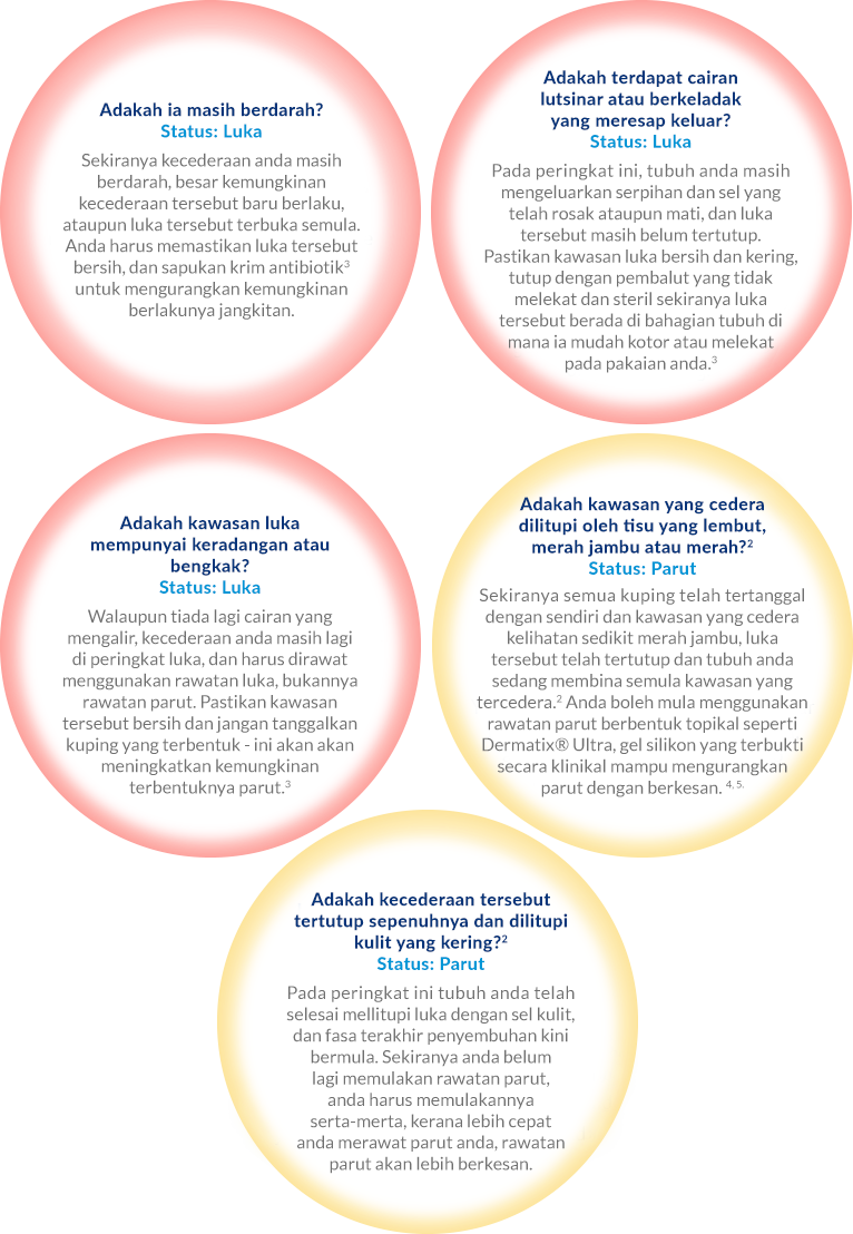 don't mistreat your wounds or your scar